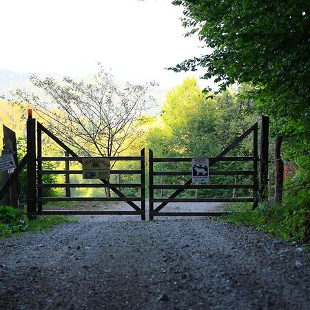 Apartmán Eko Pony Ranch Ogrizek Podčetrtek Exteriér fotografie