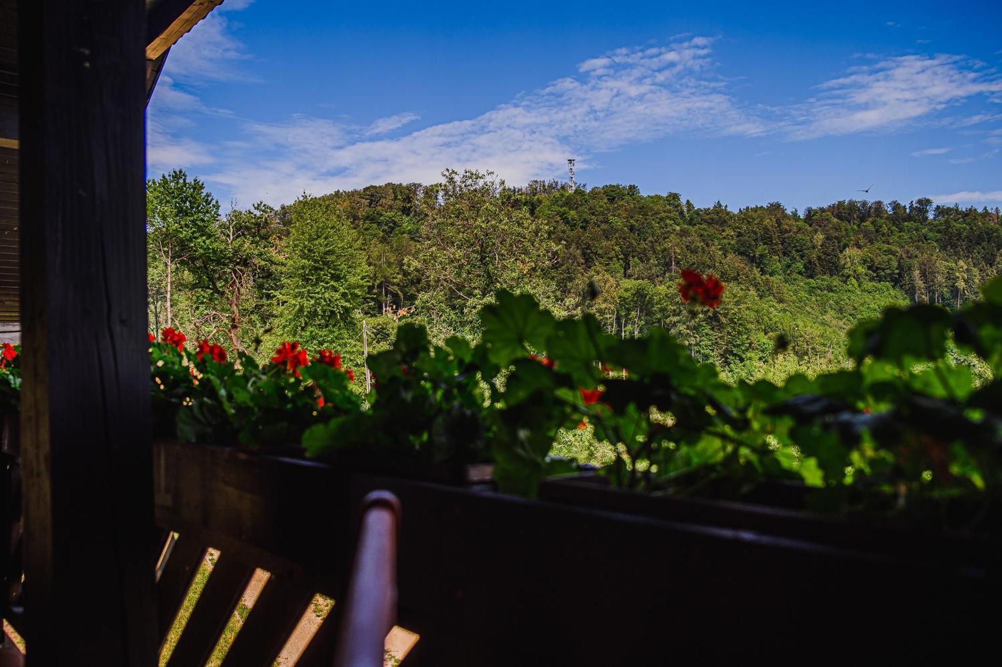 Apartmán Eko Pony Ranch Ogrizek Podčetrtek Pokoj fotografie