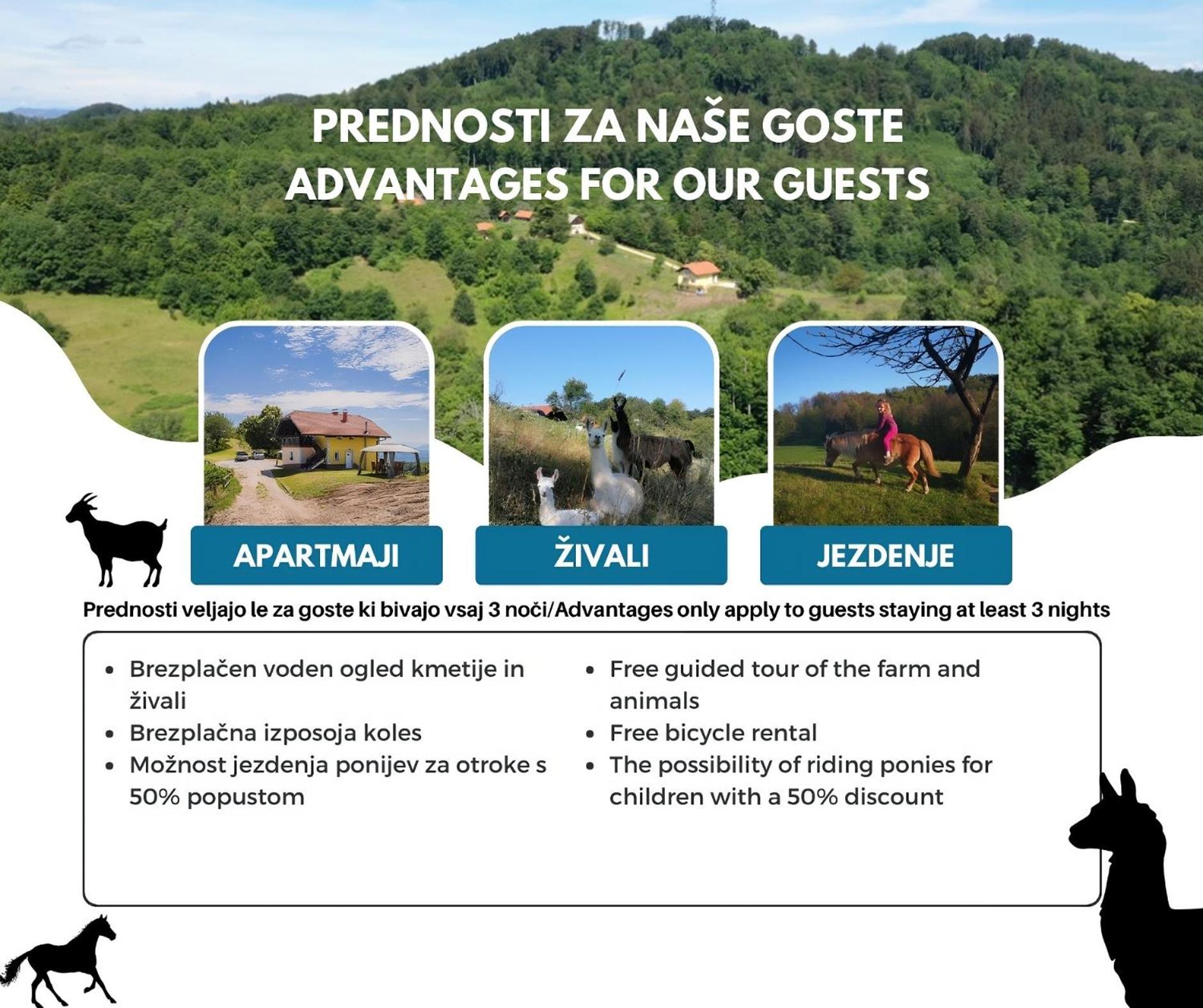 Apartmán Eko Pony Ranch Ogrizek Podčetrtek Exteriér fotografie